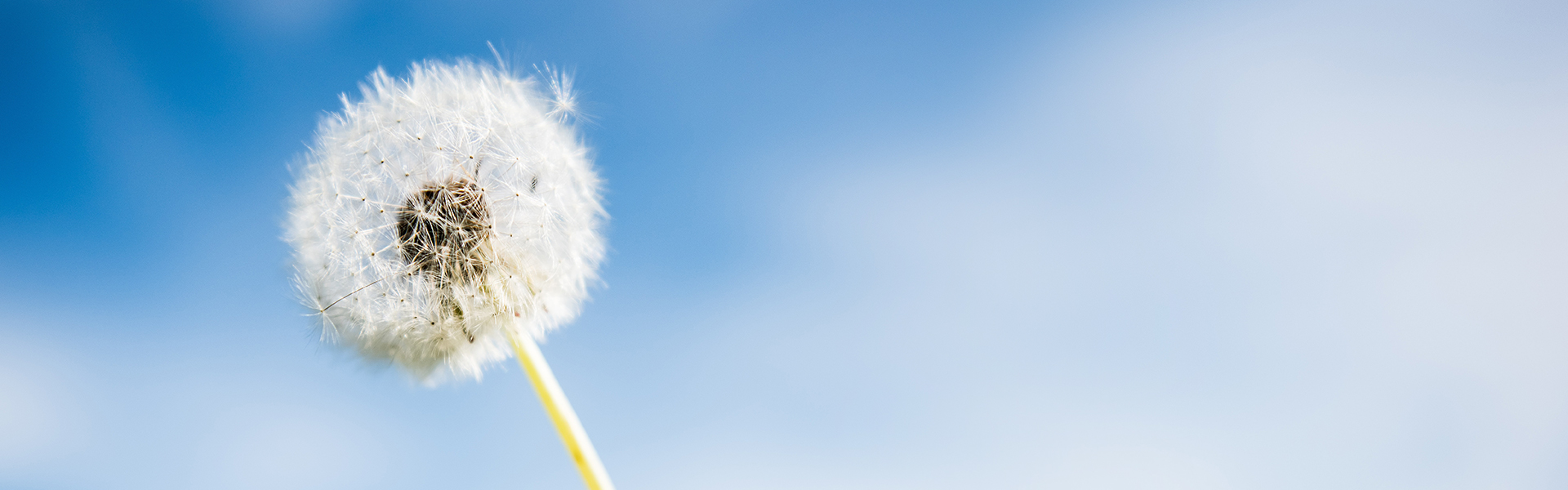 企業(yè)社會責任報告